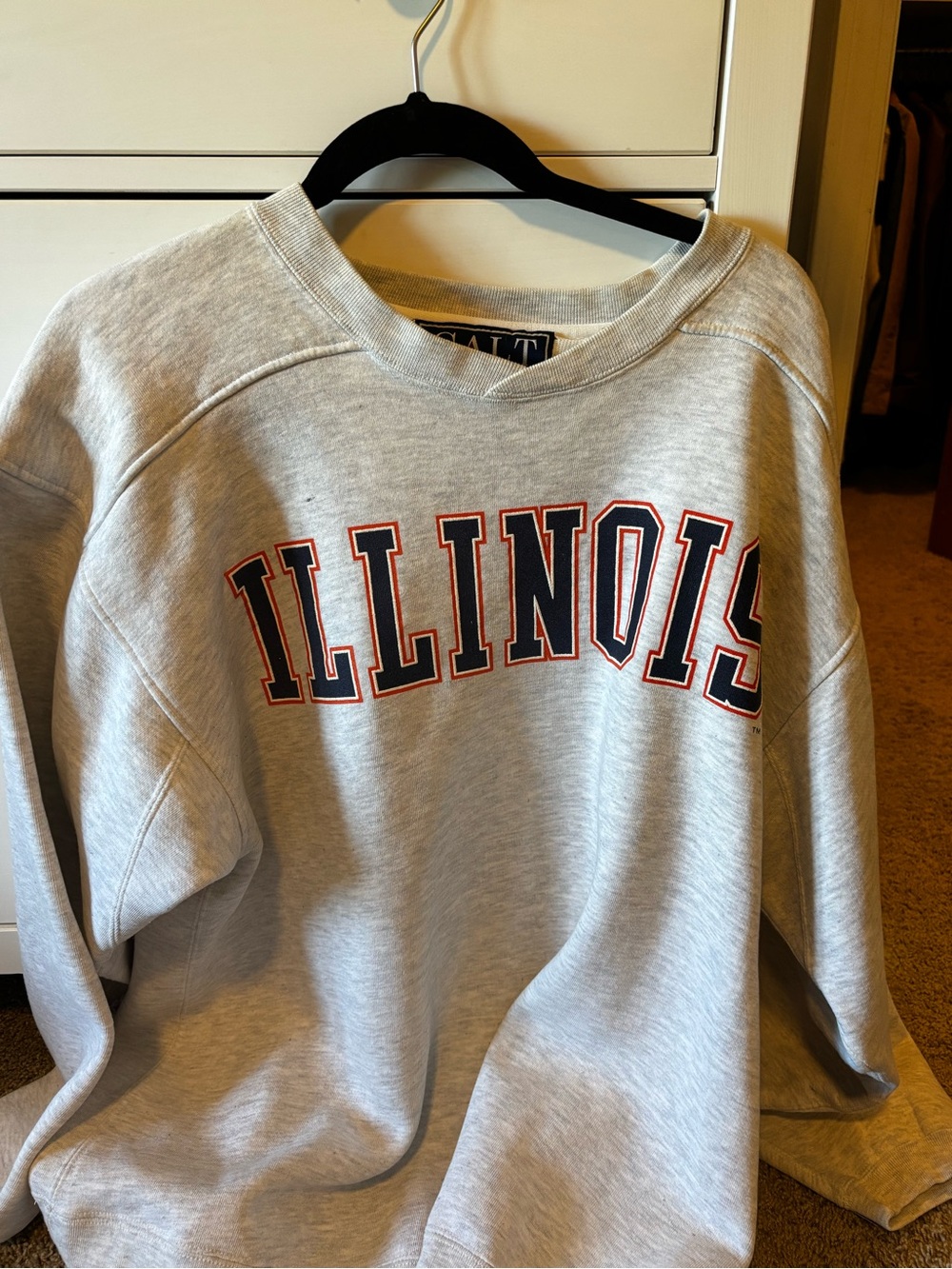 Vintage Illinois crewneck